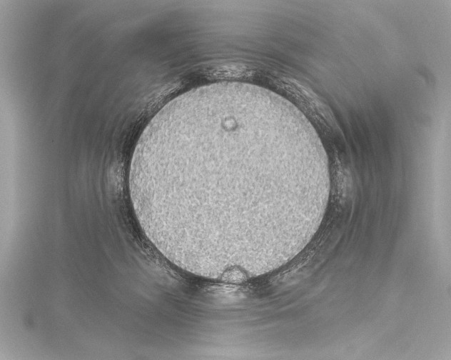 X0000115420326200912011331