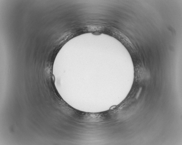 X0000115420329200912011331