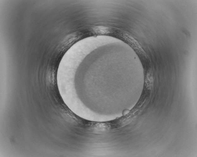 X0000115420330200912011331