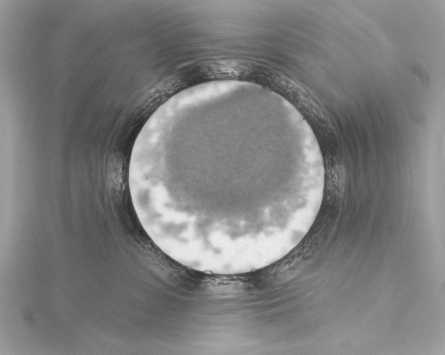 X0000115420331200912011331