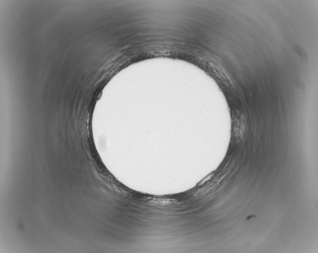 X0000115420332200912011331