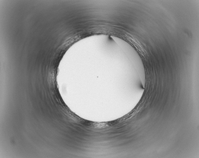 X0000115420333200912011331