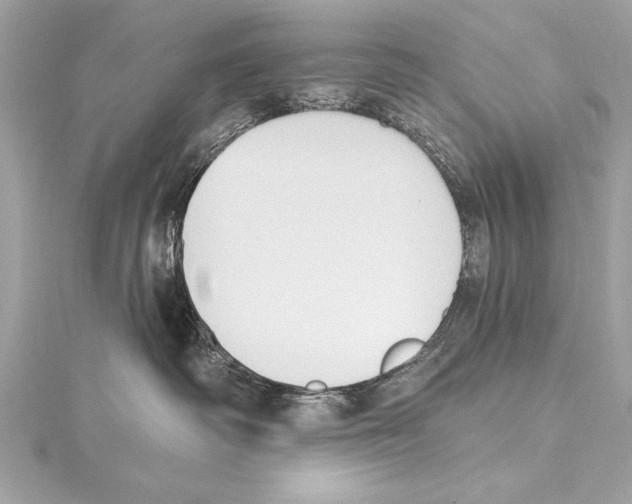 X0000115420334200912011331