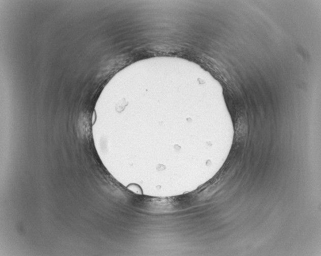 X0000115420335200912011331