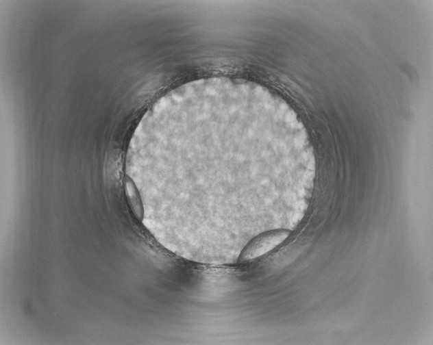 X0000115420336200912011331