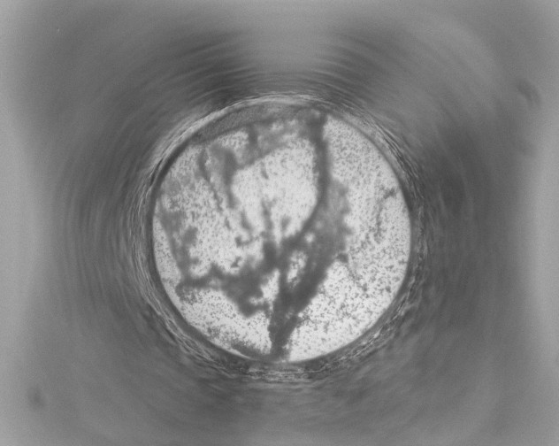 X0000115420337200912011331