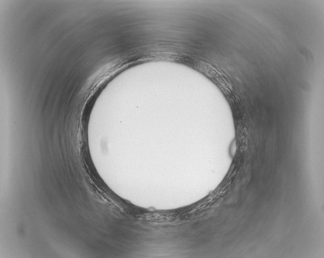 X0000115420338200912011331