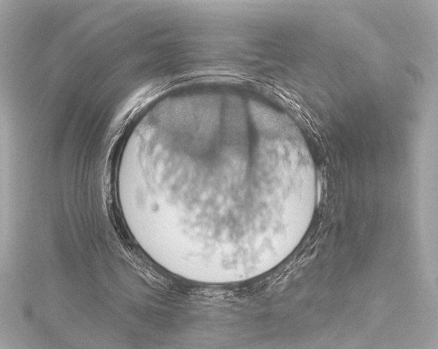 X0000115420339200912011331