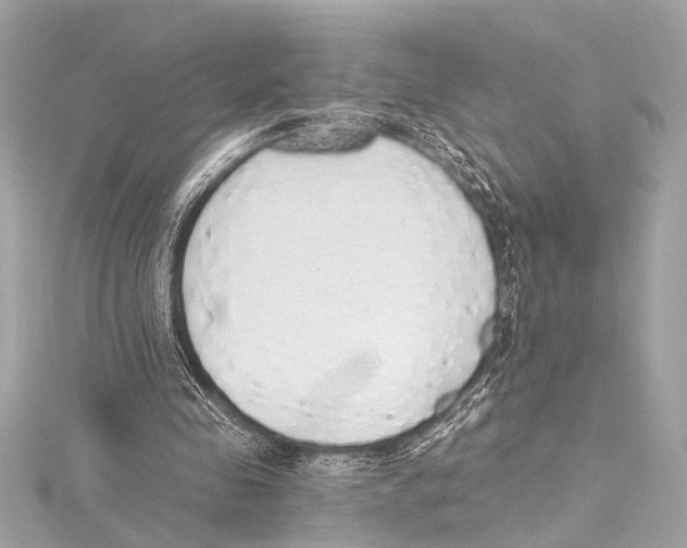 X0000115420341200912011331