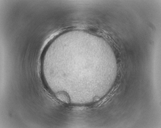 X0000115420342200912011331