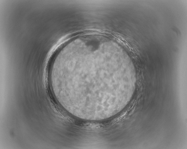 X0000115420343200912011331