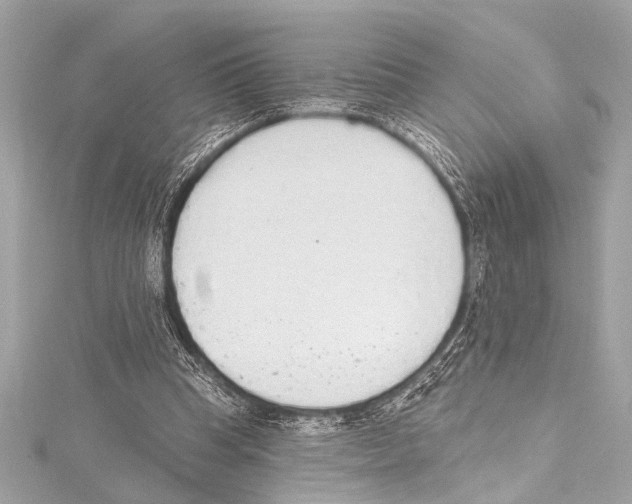 X0000115420345200912011331