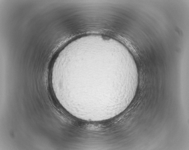 X0000115420346200912011331