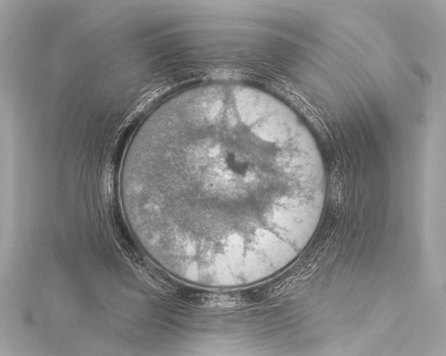 X0000115420347200912011331