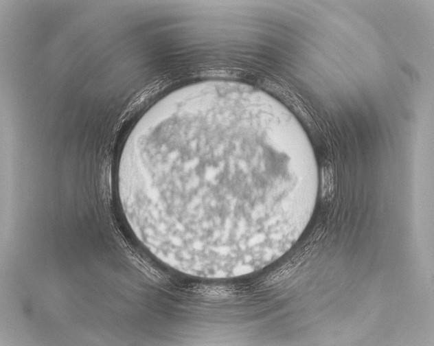 X0000115420349200912011331