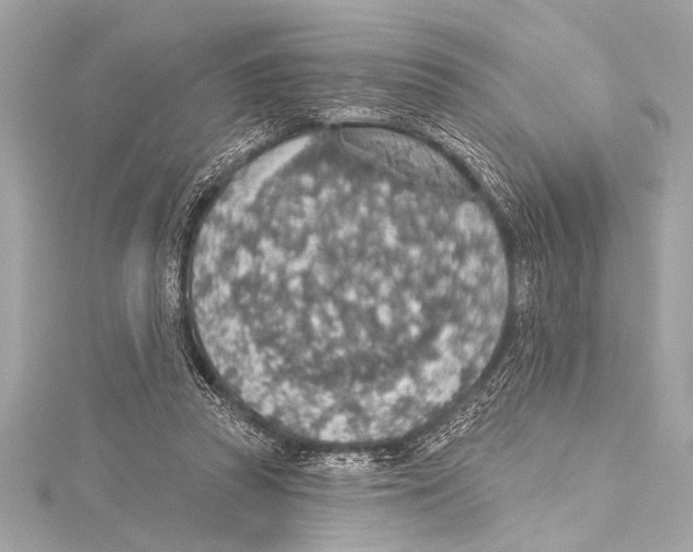 X0000115420353200912011331