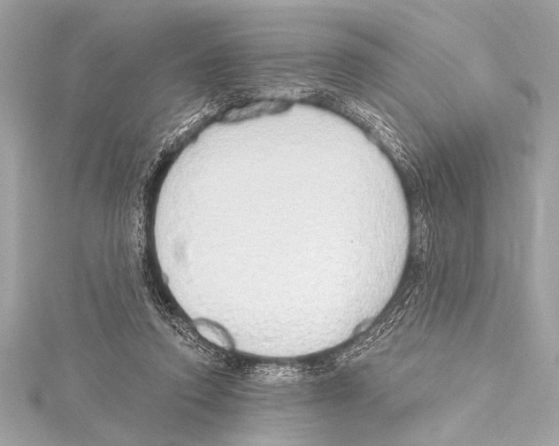 X0000115420354200912011331