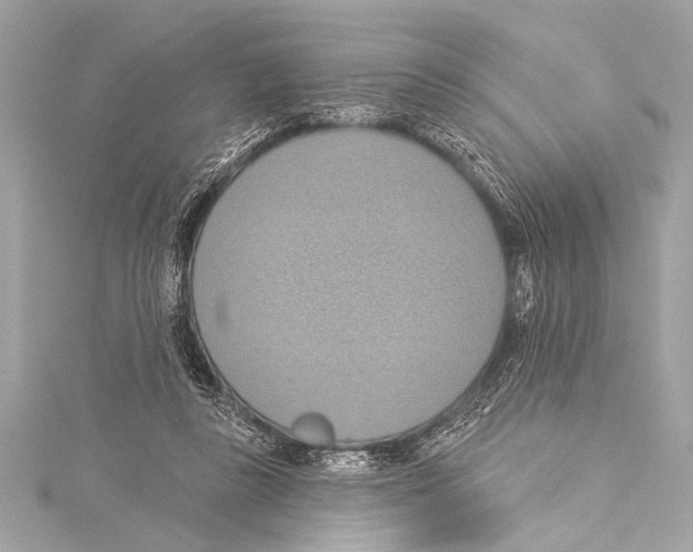 X0000115420355200912011331