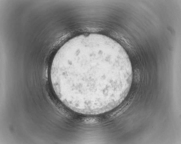 X0000115420358200912011331