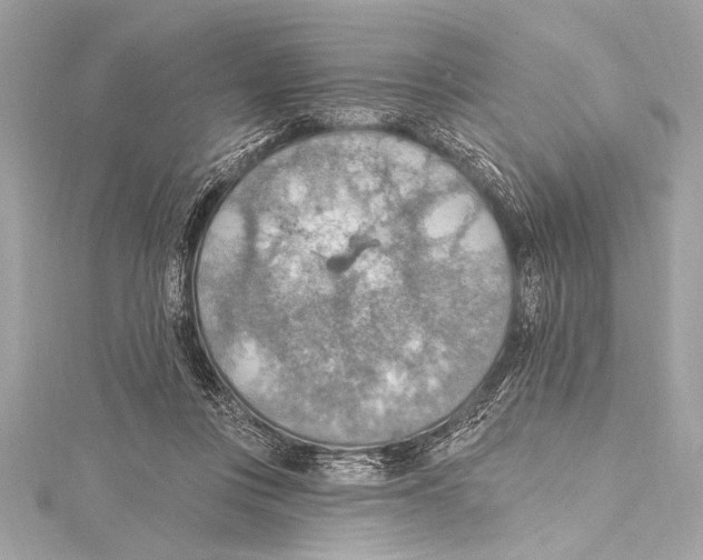 X0000115420359200912011331