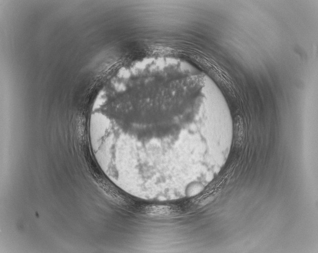 X0000115420361200912011331