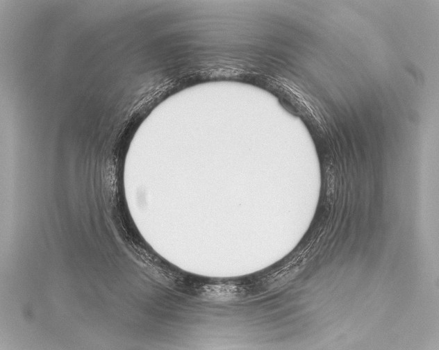 X0000115420362200912011331