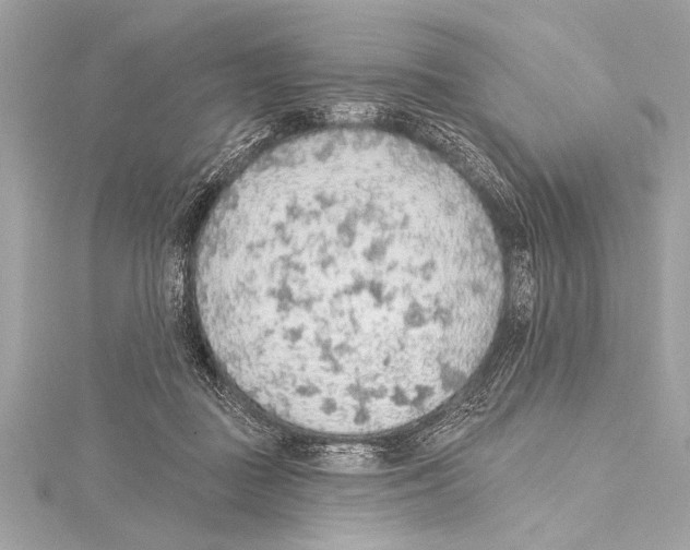 X0000115420363200912011331