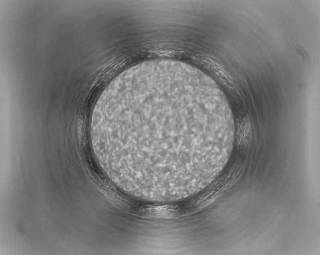 X0000115420365200912011331