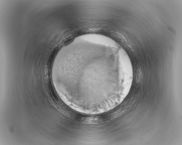 X0000115420366200912011331