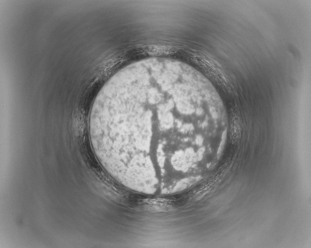 X0000115420367200912011331