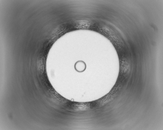 X0000115420370200912011331