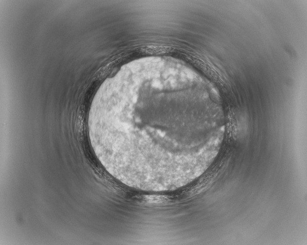 X0000115420371200912011331