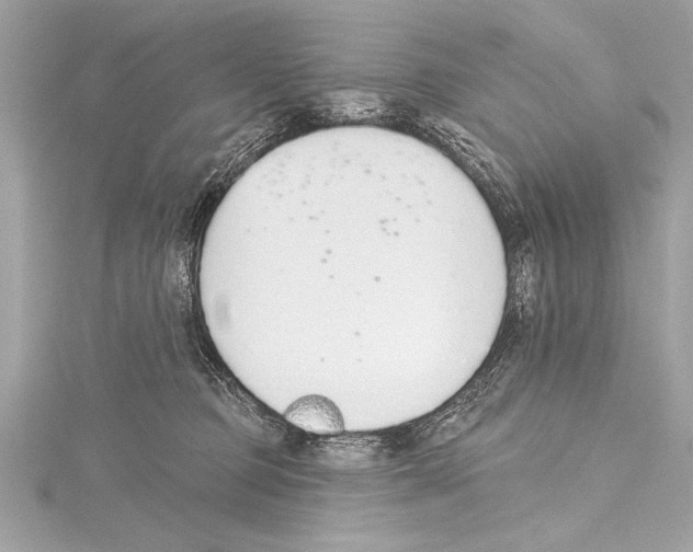 X0000115420373200912011331