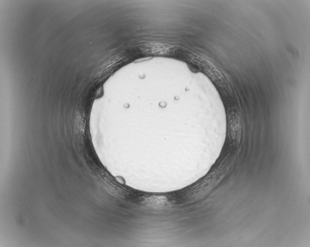 X0000115420374200912011331