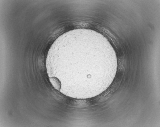 X0000115420377200912011331