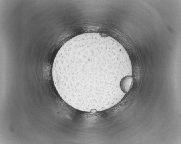 X0000115420378200912011331