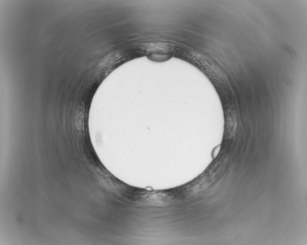 X0000115420379200912011331