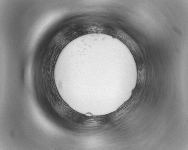 X0000115420381200912011331