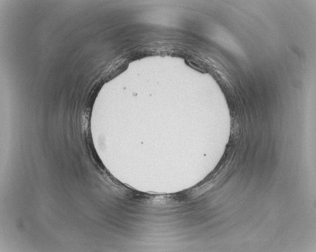 X0000115420382200912011331