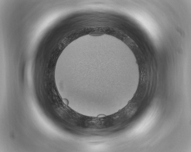 X0000115420383200912011331