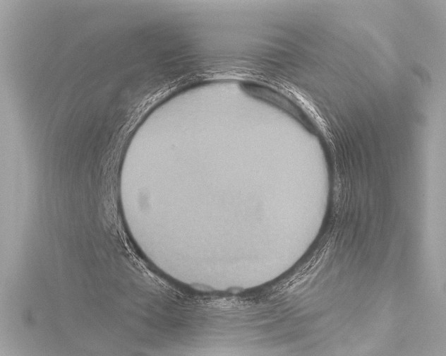 X0000115420385200912011331