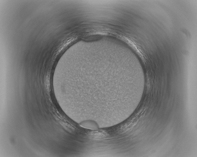 X0000115420386200912011331