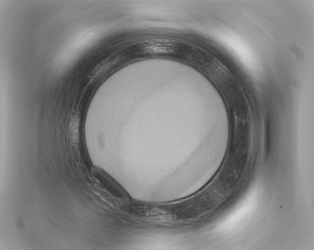 X0000115420387200912011331