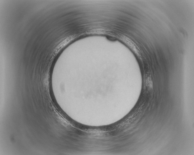 X0000115420389200912011331