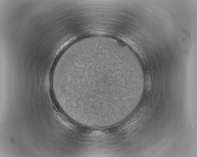 X0000115420390200912011331