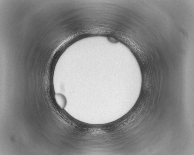 X0000115420392200912011331