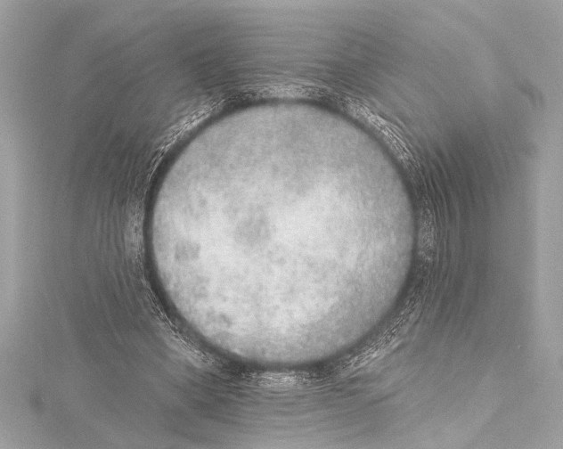 X0000115420394200912011331