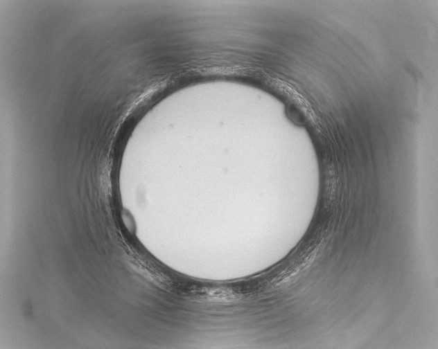 X0000115420395200912011331