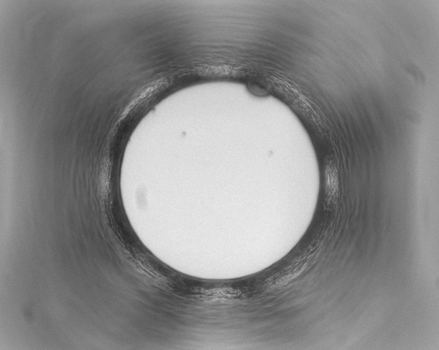 X0000115420396200912011331