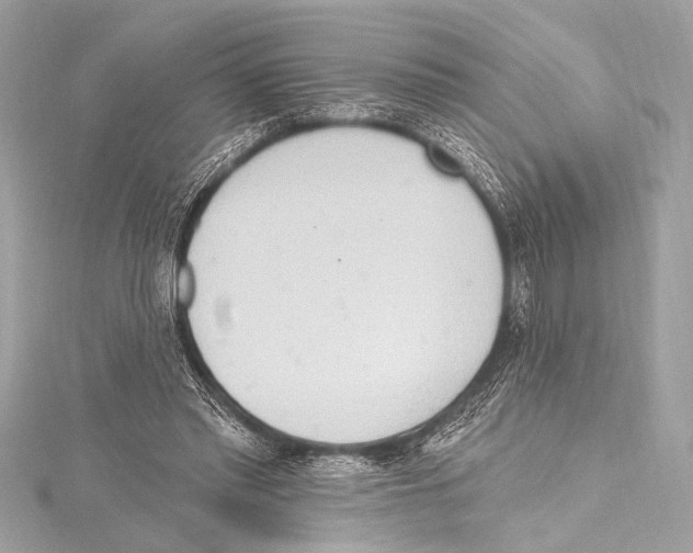 X0000115420397200912011331